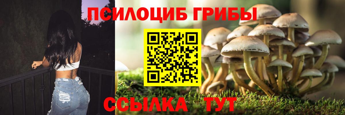Галлюциногенные грибы Psilocybine cubensis  Вход с VPN  Самара 